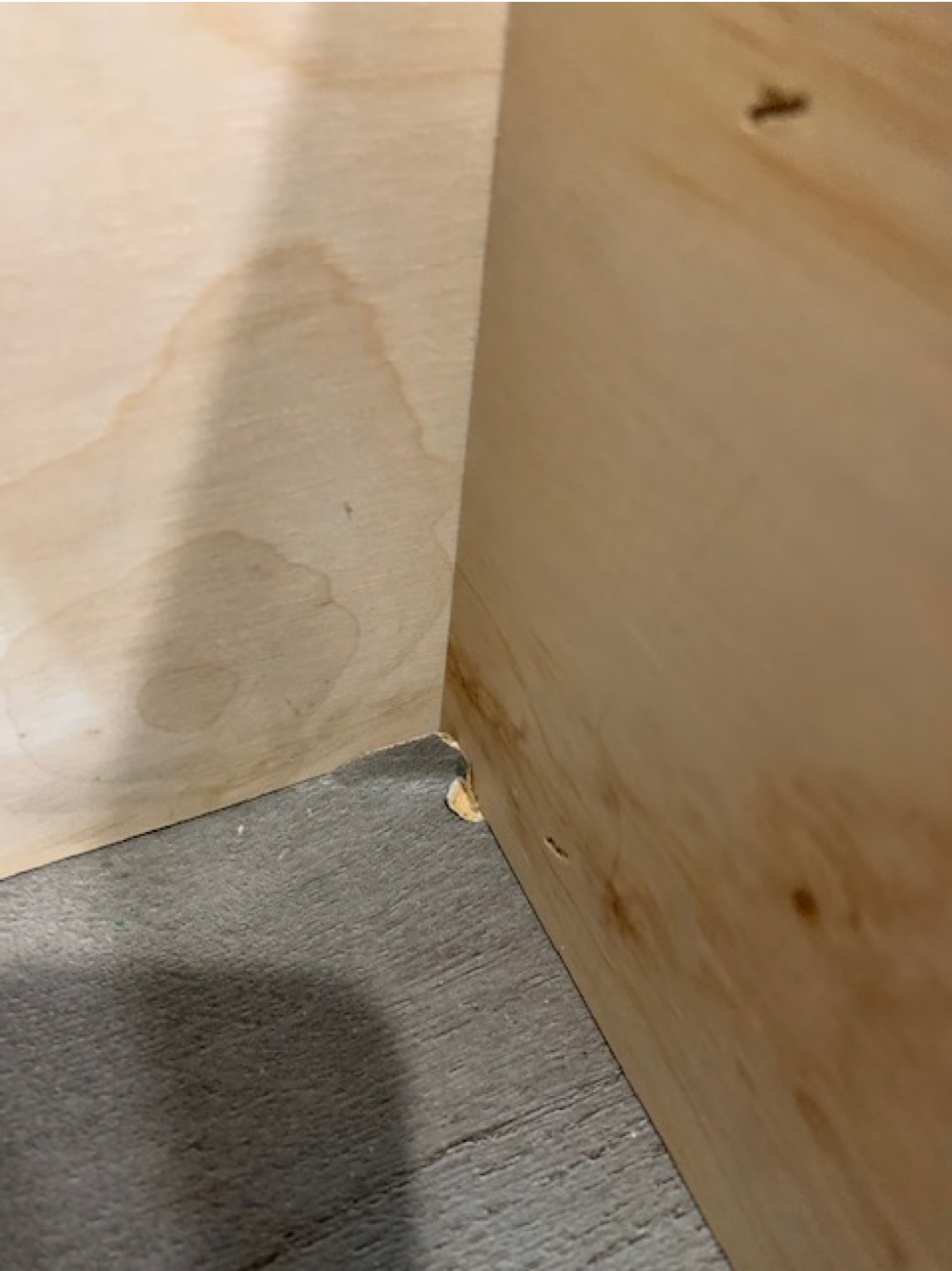 Water Damage from Plumbing Defects